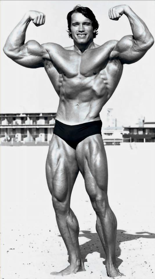Arnold Schwarzenegger (Арнольд Шварценеггер) — двойной бицепс спереди