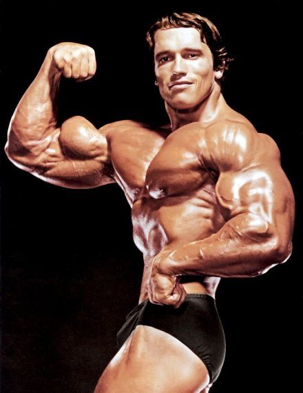 Arnold Schwarzenegger (Арнольд Шварценеггер) — бицепс