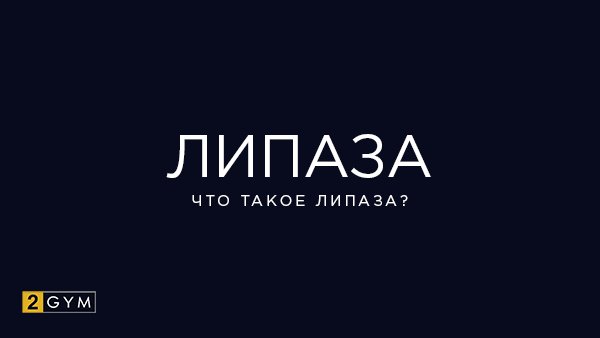 Липаза