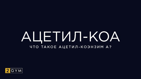 Ацетил-КоА