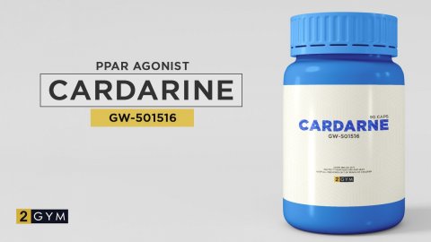 Кардарин (Cardarine) или PPAR GW-501516: применение в бодибилдинге и других силовых видах спорта, действие на организм, отзыв и личный опыт применения препарата 