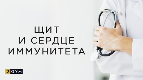 Щит и сердце иммунитета — рекомендации от Алексея Лесукова